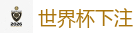 2026 FIFA 世界杯(下注)官方中文站